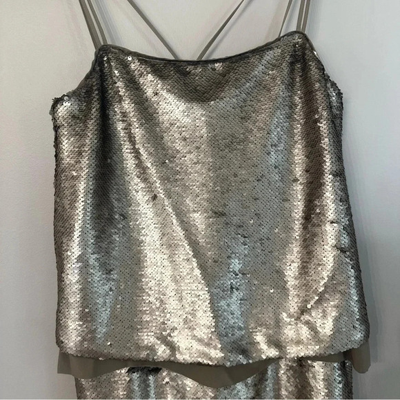 Banana Republic Champagne Sequin Silk Underlay Dress with Straps Size 2 NWT - Picture 3 of 11